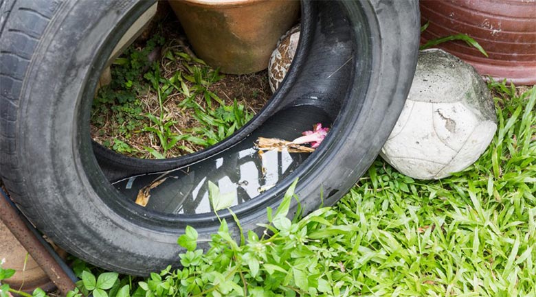 Pneu com água parada acumulada, local perfeito para a proliferação de mosquitos