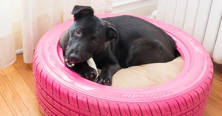 Cama para cachorro feita com pneu velho